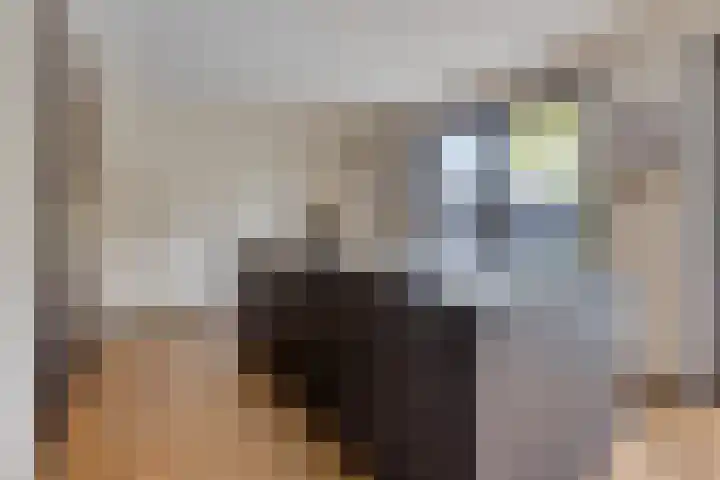 De Scheifelaar 402 Veghel thumbnail 10