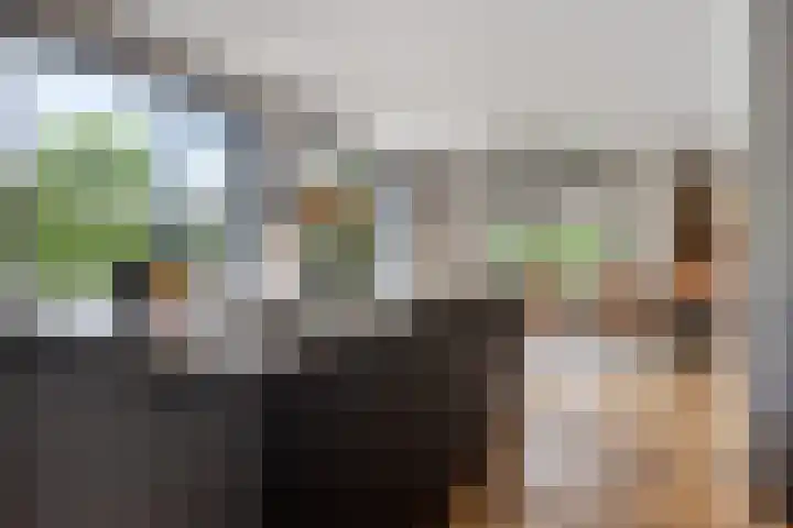 De Scheifelaar 402 Veghel thumbnail 12