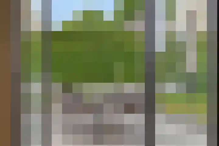 De Scheifelaar 402 Veghel thumbnail 13