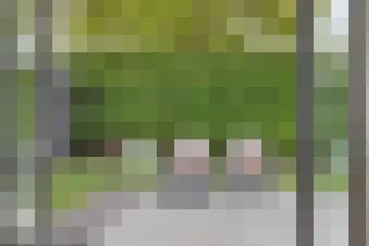 De Scheifelaar 402 Veghel thumbnail 14