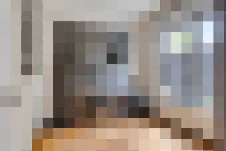De Scheifelaar 402 Veghel thumbnail 15