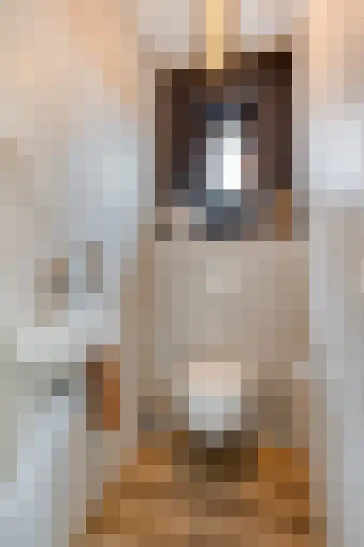 De Scheifelaar 402 Veghel thumbnail 17