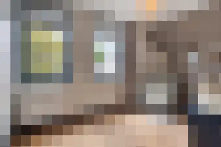 De Scheifelaar 402 Veghel thumbnail 24