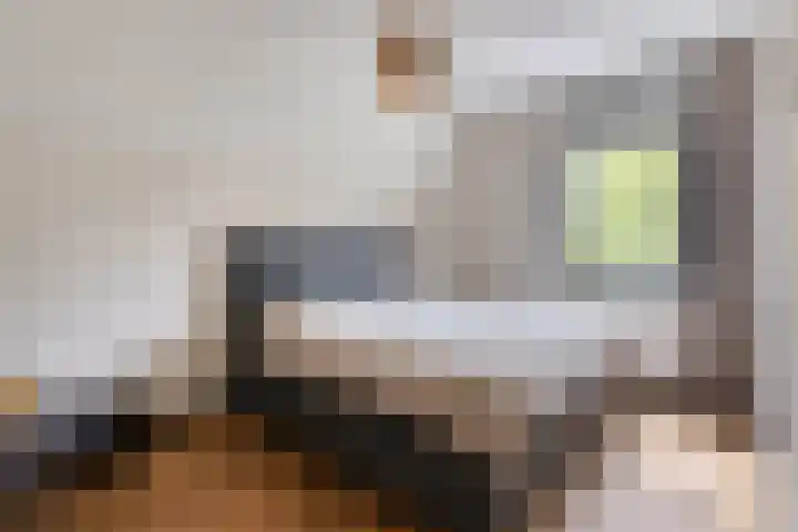 De Scheifelaar 402 Veghel thumbnail 25