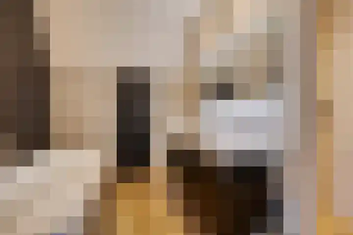 De Scheifelaar 402 Veghel thumbnail 26