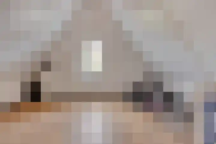 De Scheifelaar 402 Veghel thumbnail 32