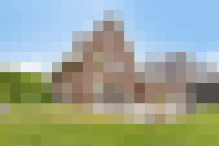 De Scheifelaar 402 Veghel thumbnail 33