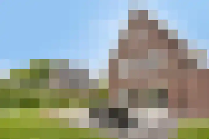 De Scheifelaar 402 Veghel thumbnail 34