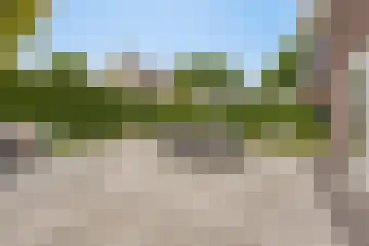 De Scheifelaar 402 Veghel thumbnail 35