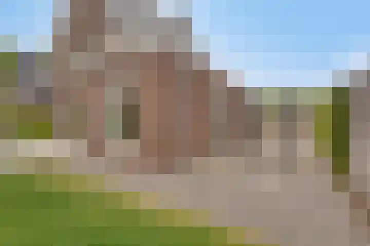 De Scheifelaar 402 Veghel thumbnail 37