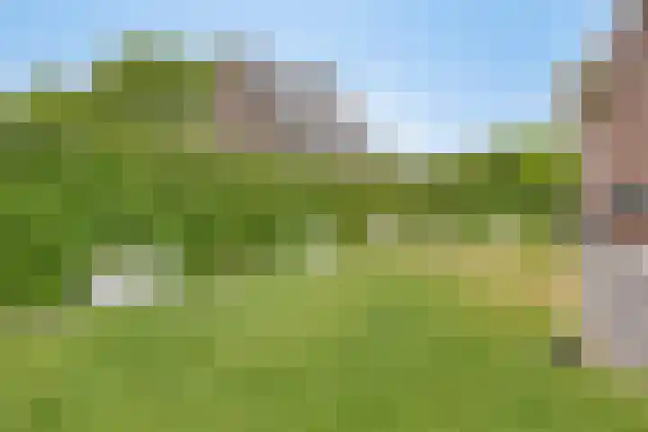 De Scheifelaar 402 Veghel thumbnail 38
