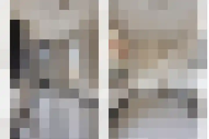 De Scheifelaar 402 Veghel thumbnail 4