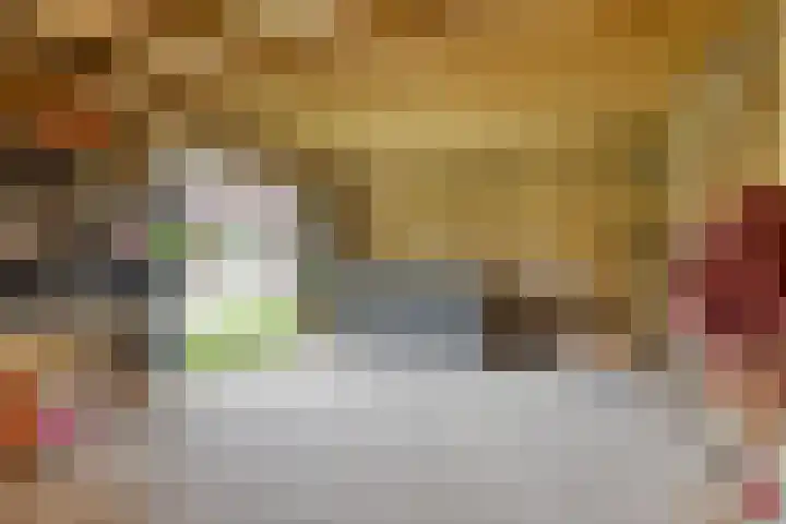 De Scheifelaar 402 Veghel thumbnail 42