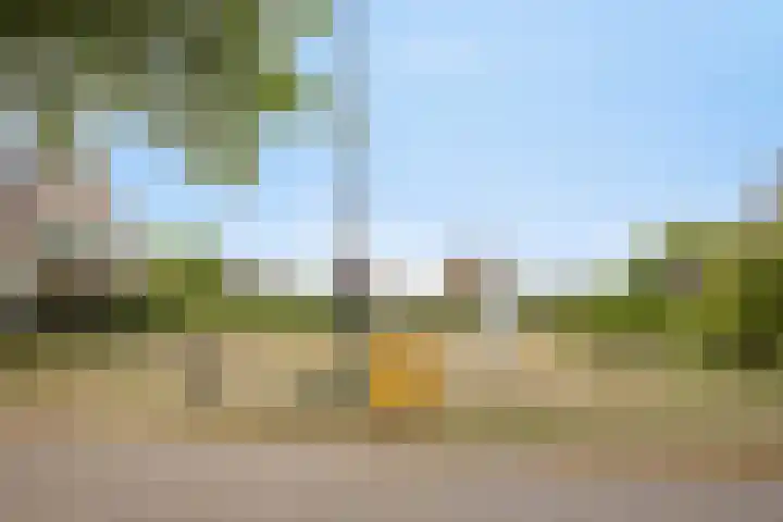 De Scheifelaar 402 Veghel thumbnail 43