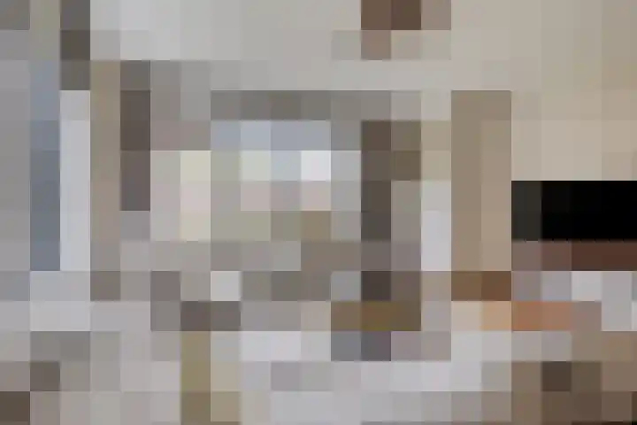 De Scheifelaar 402 Veghel thumbnail 6
