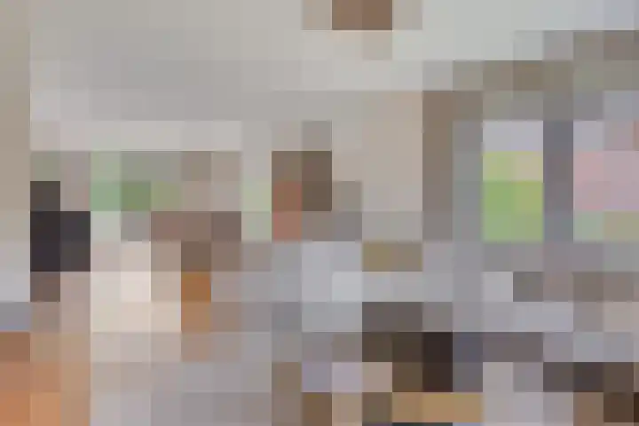 De Scheifelaar 402 Veghel thumbnail 7