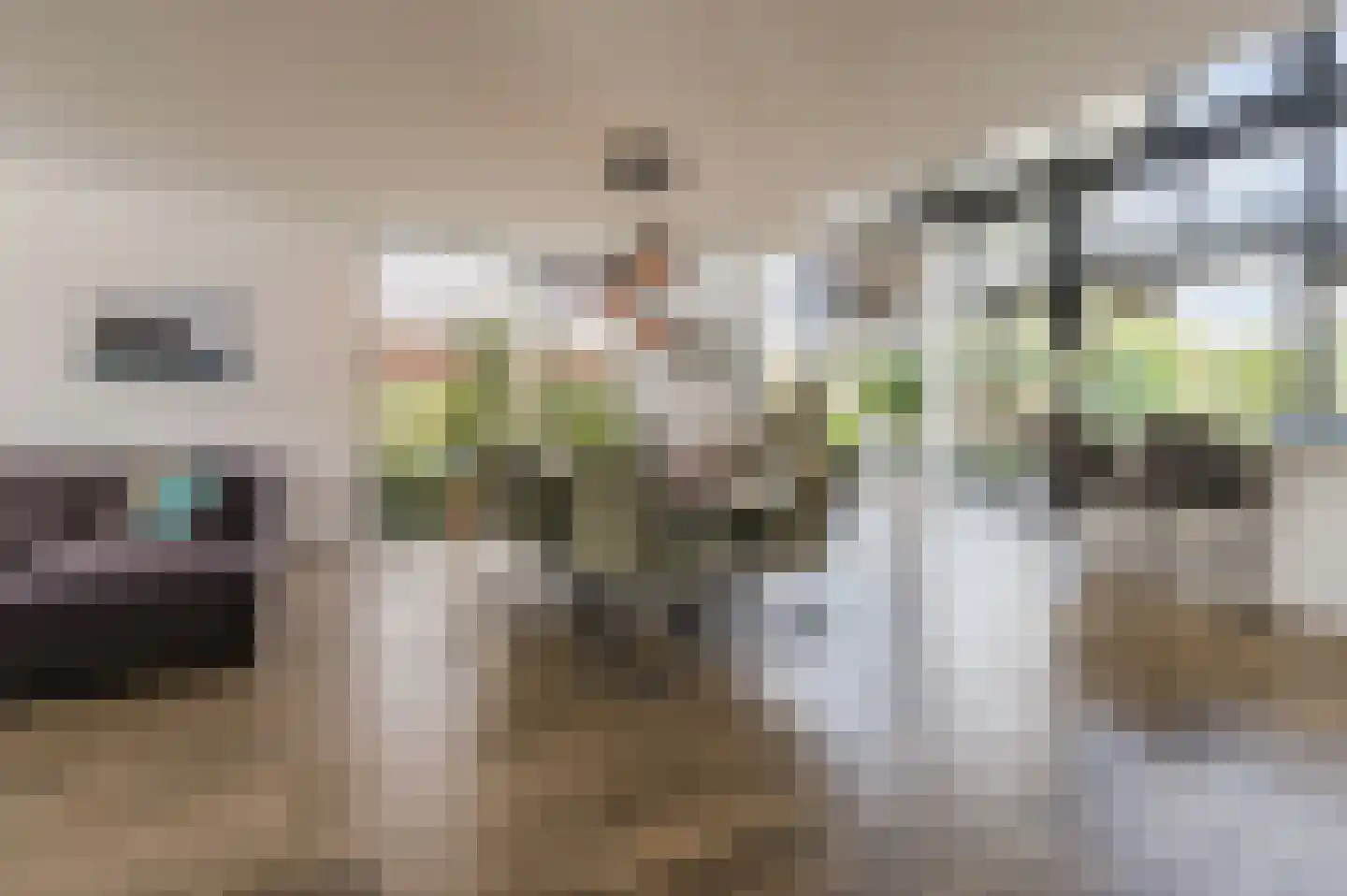 De Scheifelaar 503 A Veghel thumbnail 19