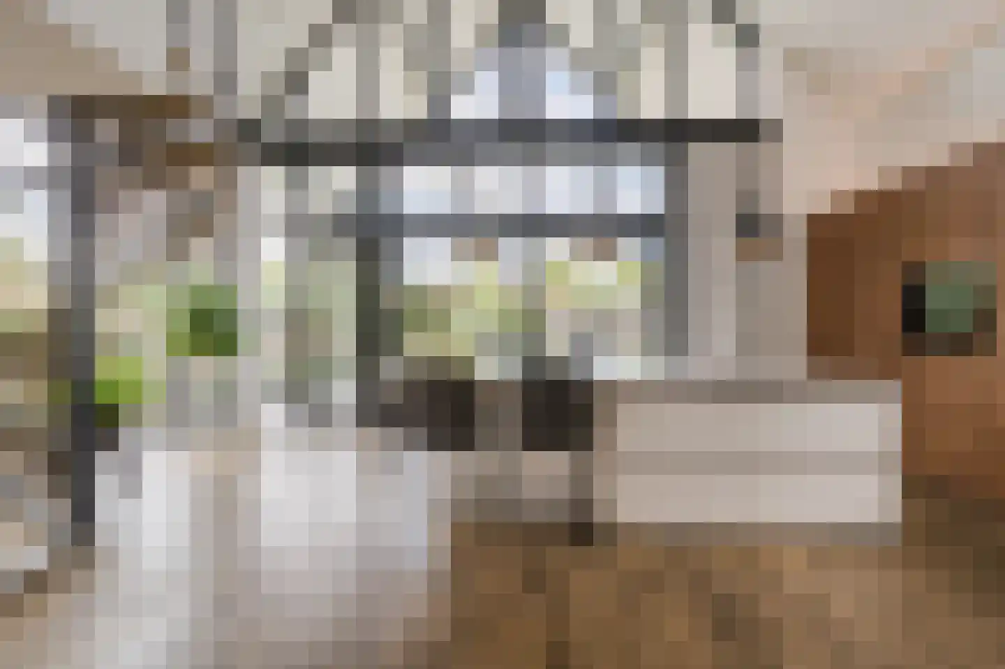 De Scheifelaar 503 A Veghel thumbnail 21