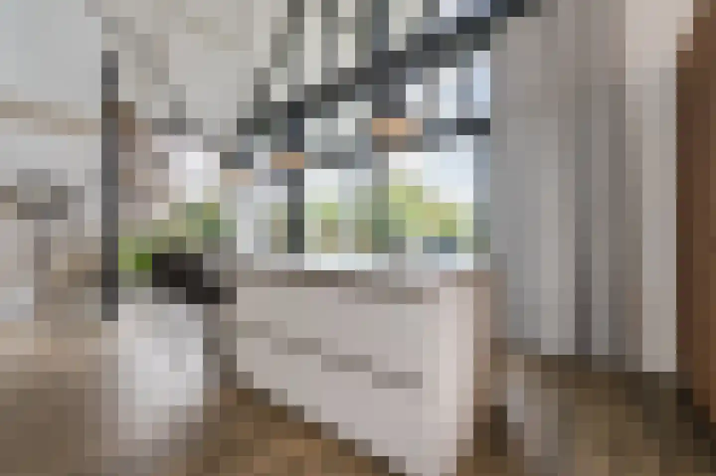 De Scheifelaar 503 A Veghel thumbnail 23