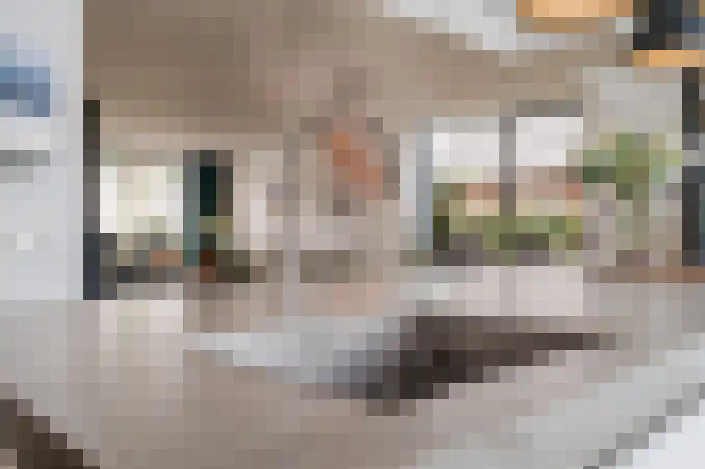 De Scheifelaar 503 A Veghel thumbnail 26