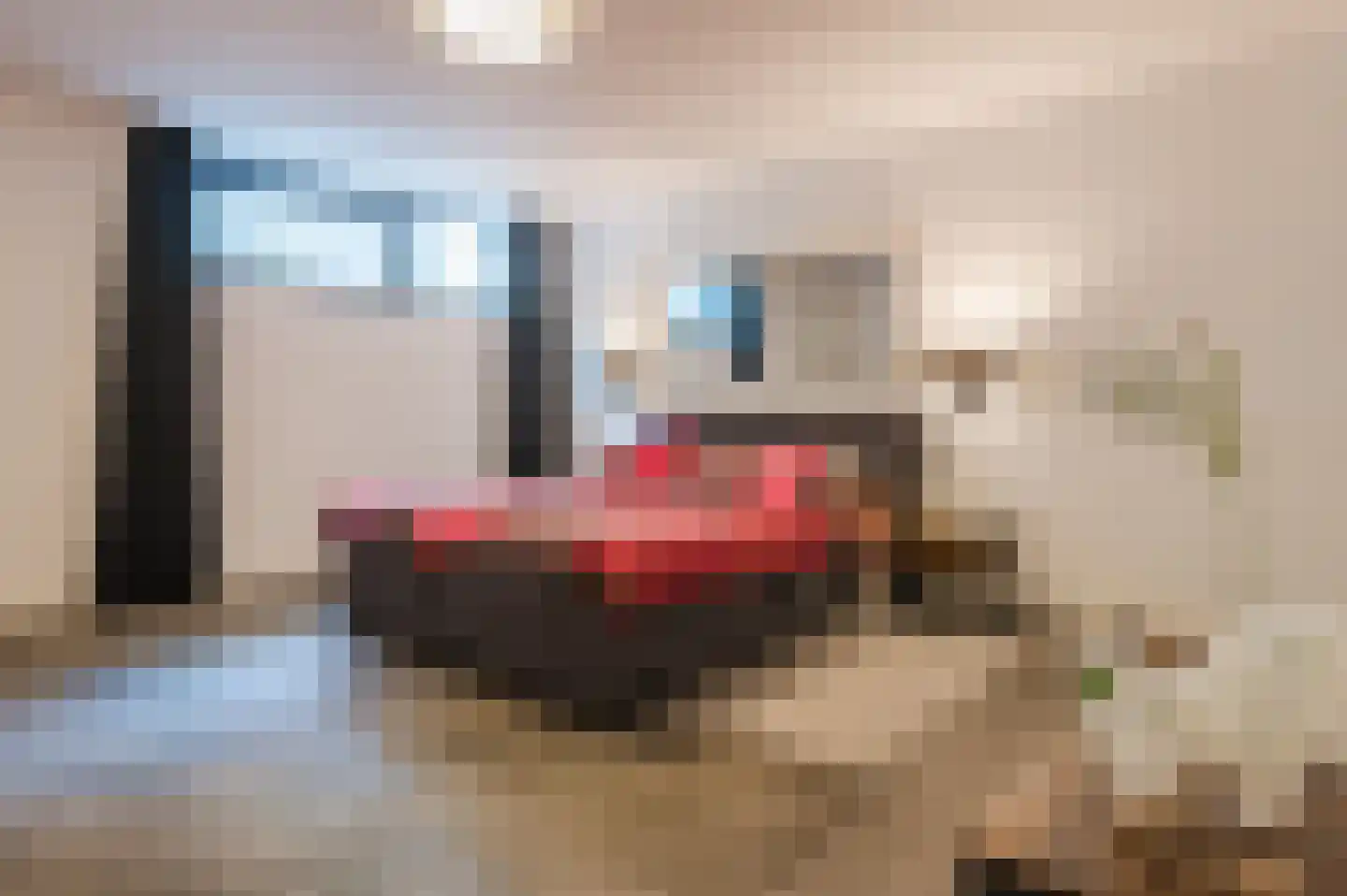 De Scheifelaar 503 A Veghel thumbnail 32