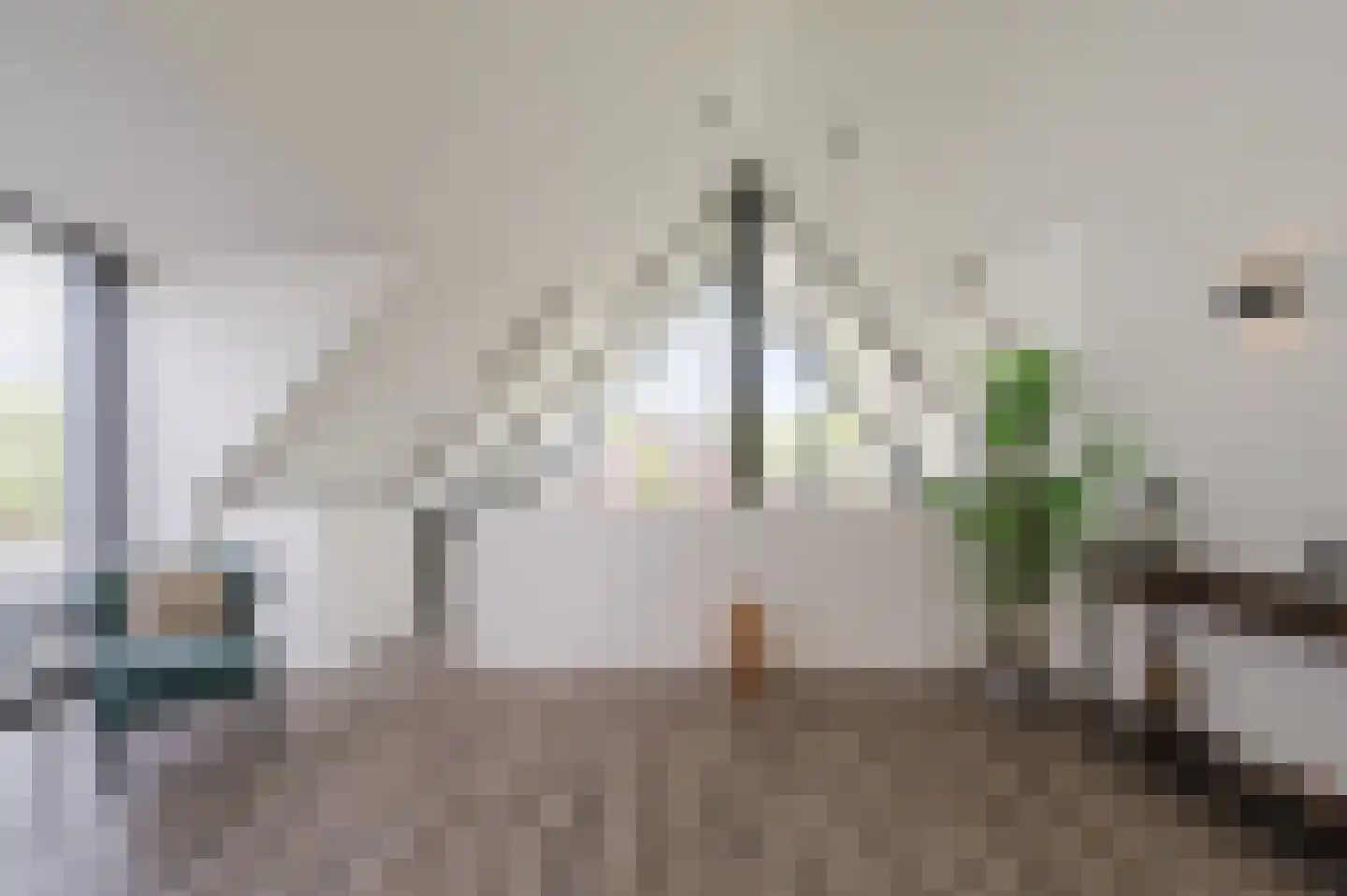 De Scheifelaar 503 A Veghel thumbnail 44