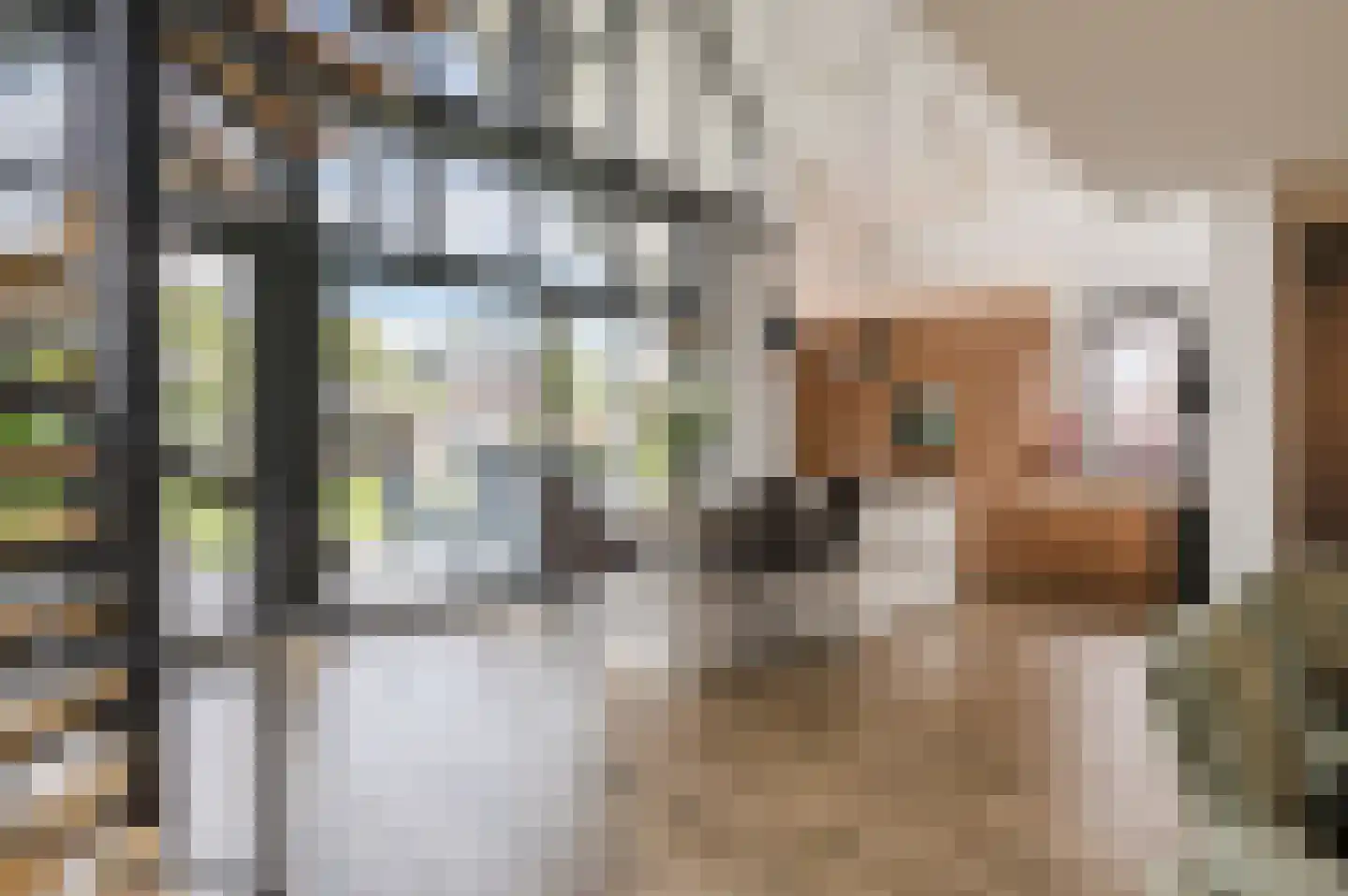 De Scheifelaar 503 A Veghel thumbnail 5