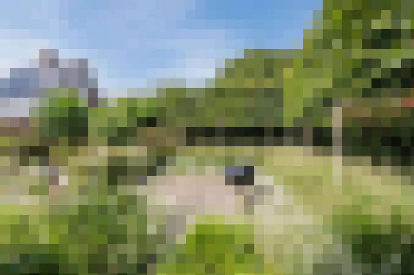 De Scheifelaar 503 A Veghel thumbnail 63