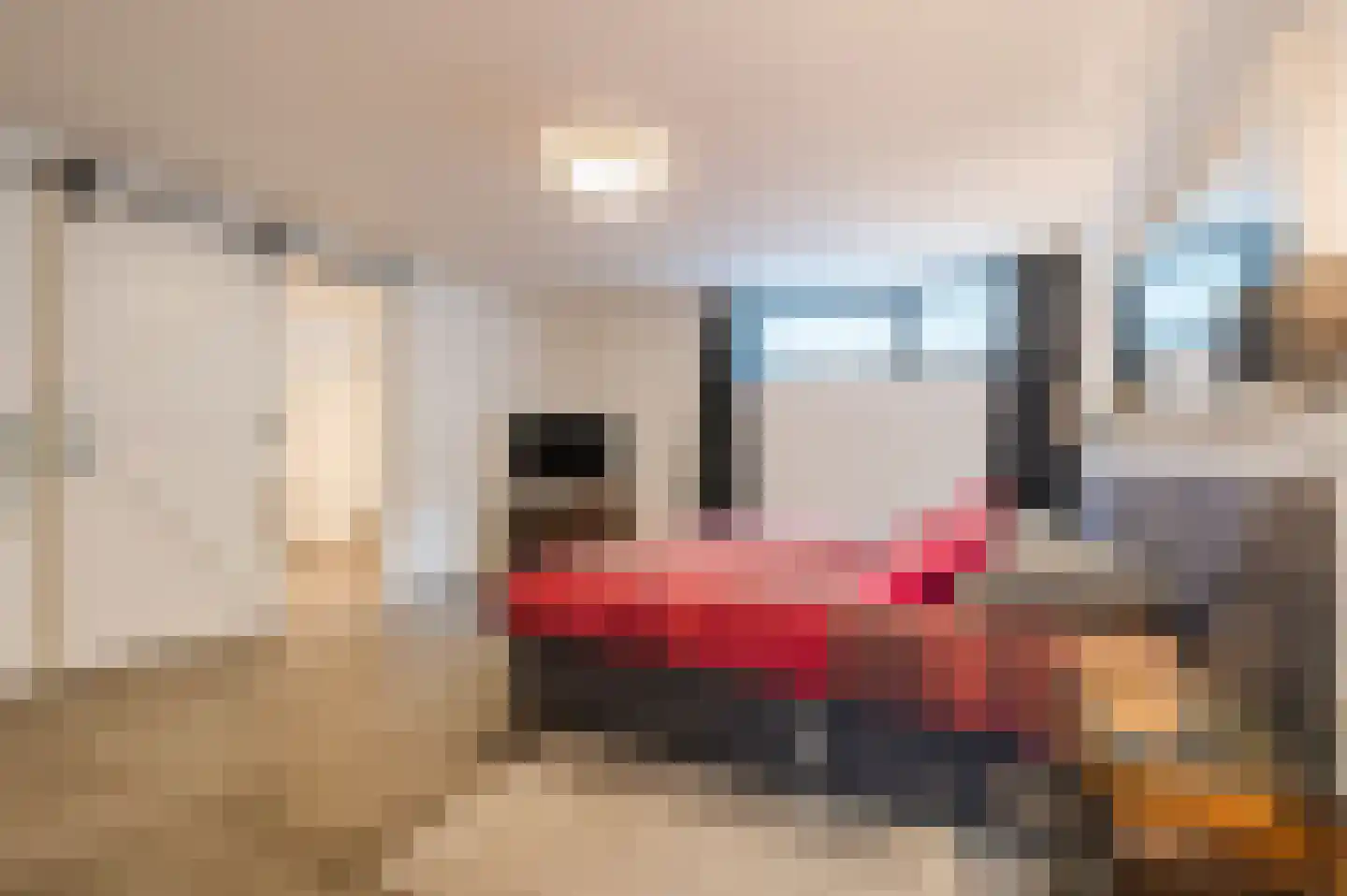 De Scheifelaar 503 A Veghel thumbnail 7