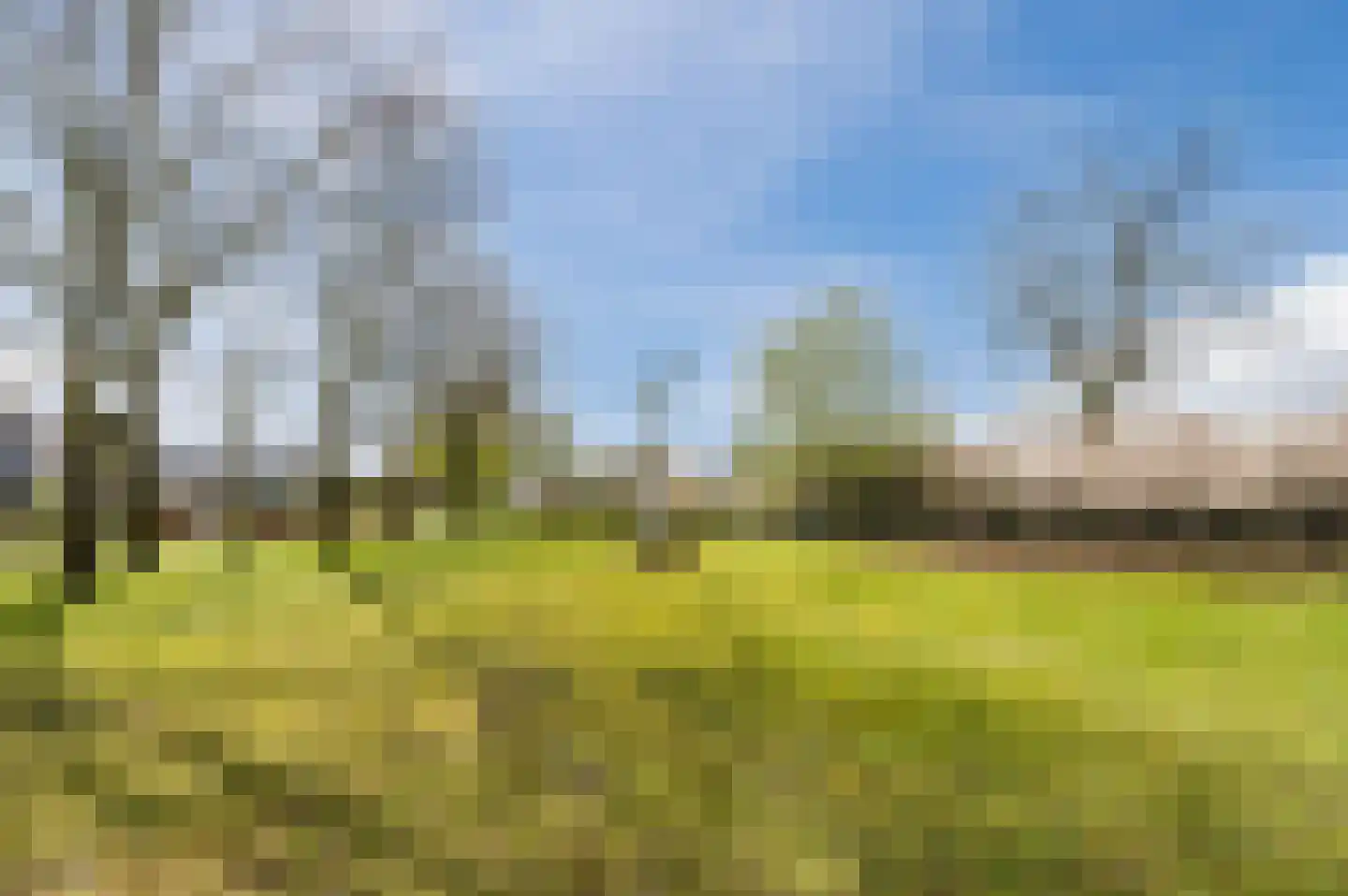 De Scheifelaar 503 A Veghel thumbnail 71