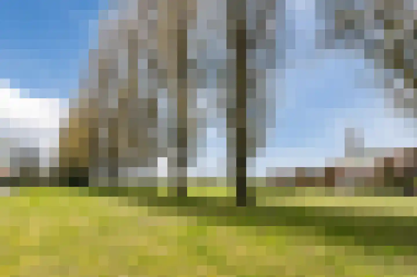 De Scheifelaar 503 A Veghel thumbnail 72