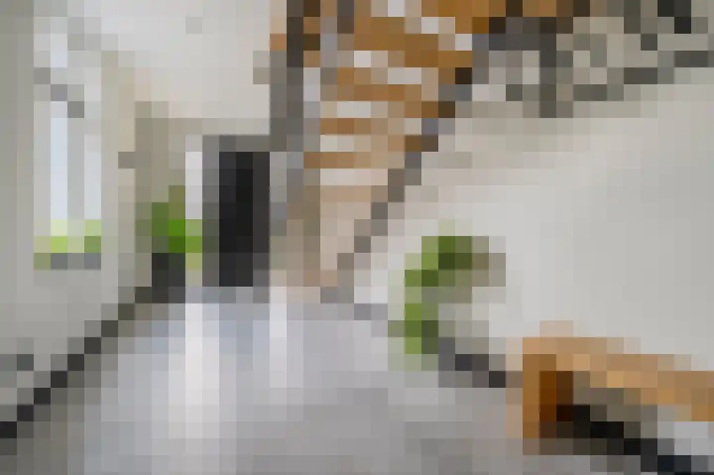 De Scheifelaar 538 Veghel thumbnail 11