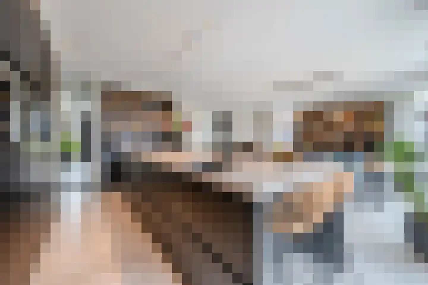 De Scheifelaar 538 Veghel thumbnail 23