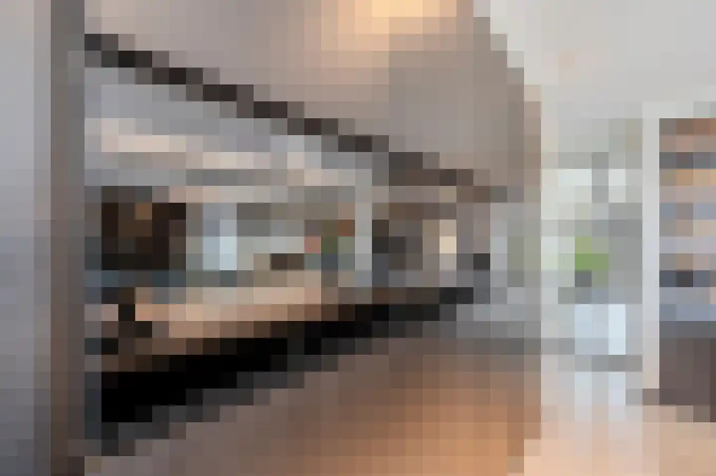 De Scheifelaar 538 Veghel thumbnail 24