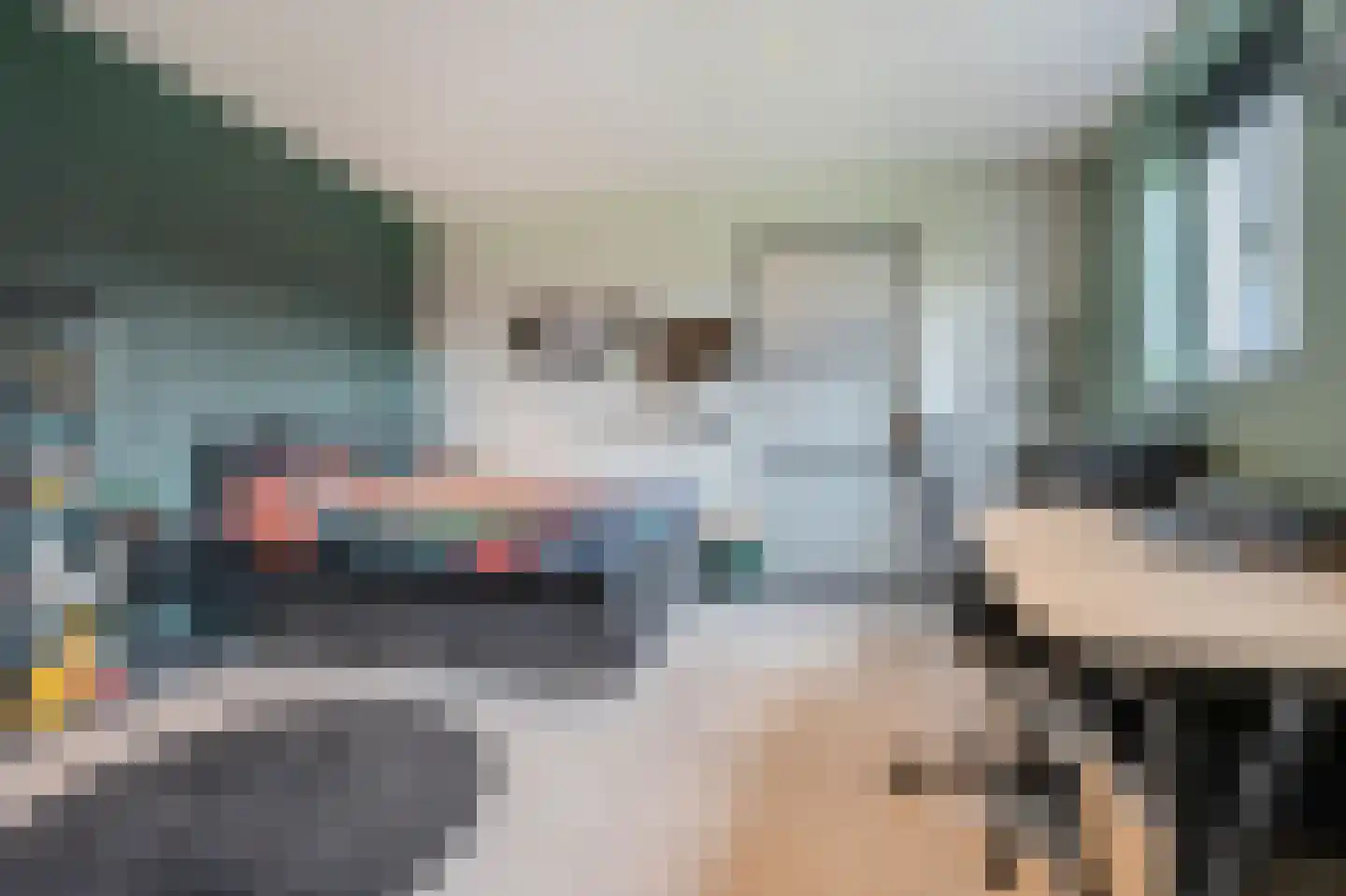 De Scheifelaar 538 Veghel thumbnail 31