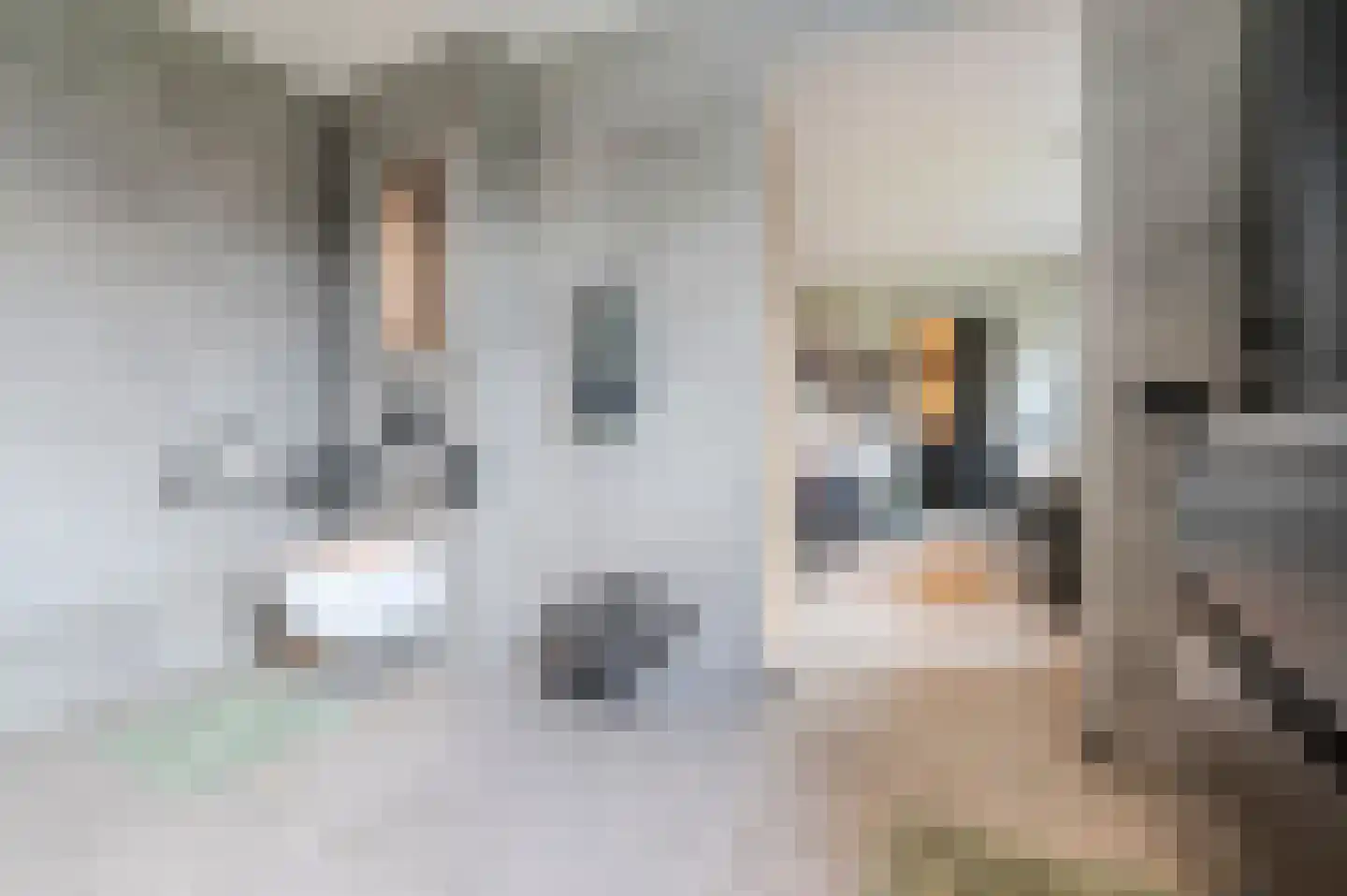 De Scheifelaar 538 Veghel thumbnail 32