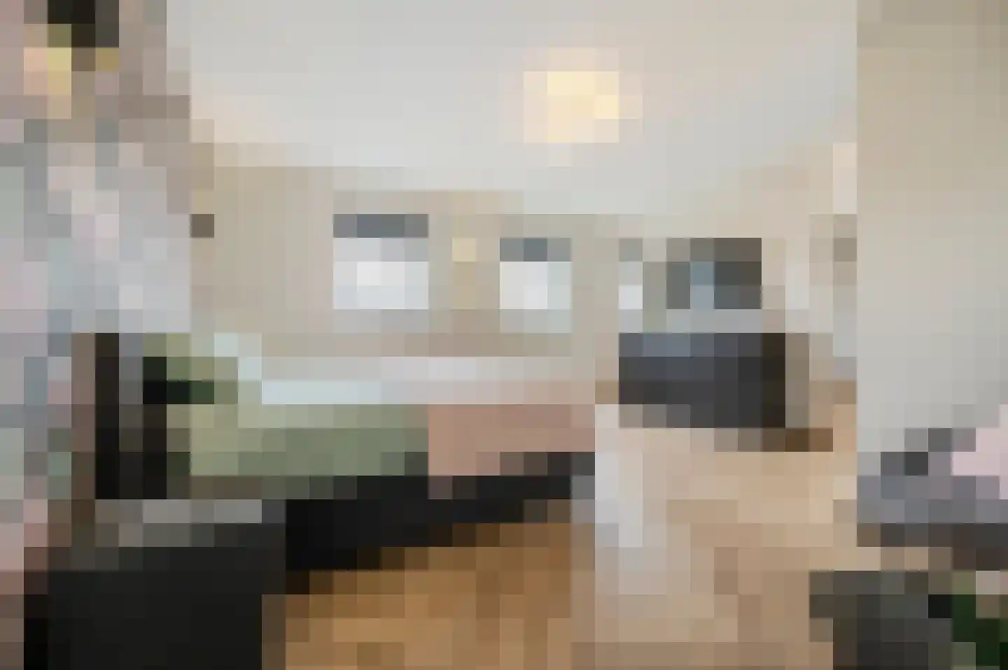 De Scheifelaar 538 Veghel thumbnail 37