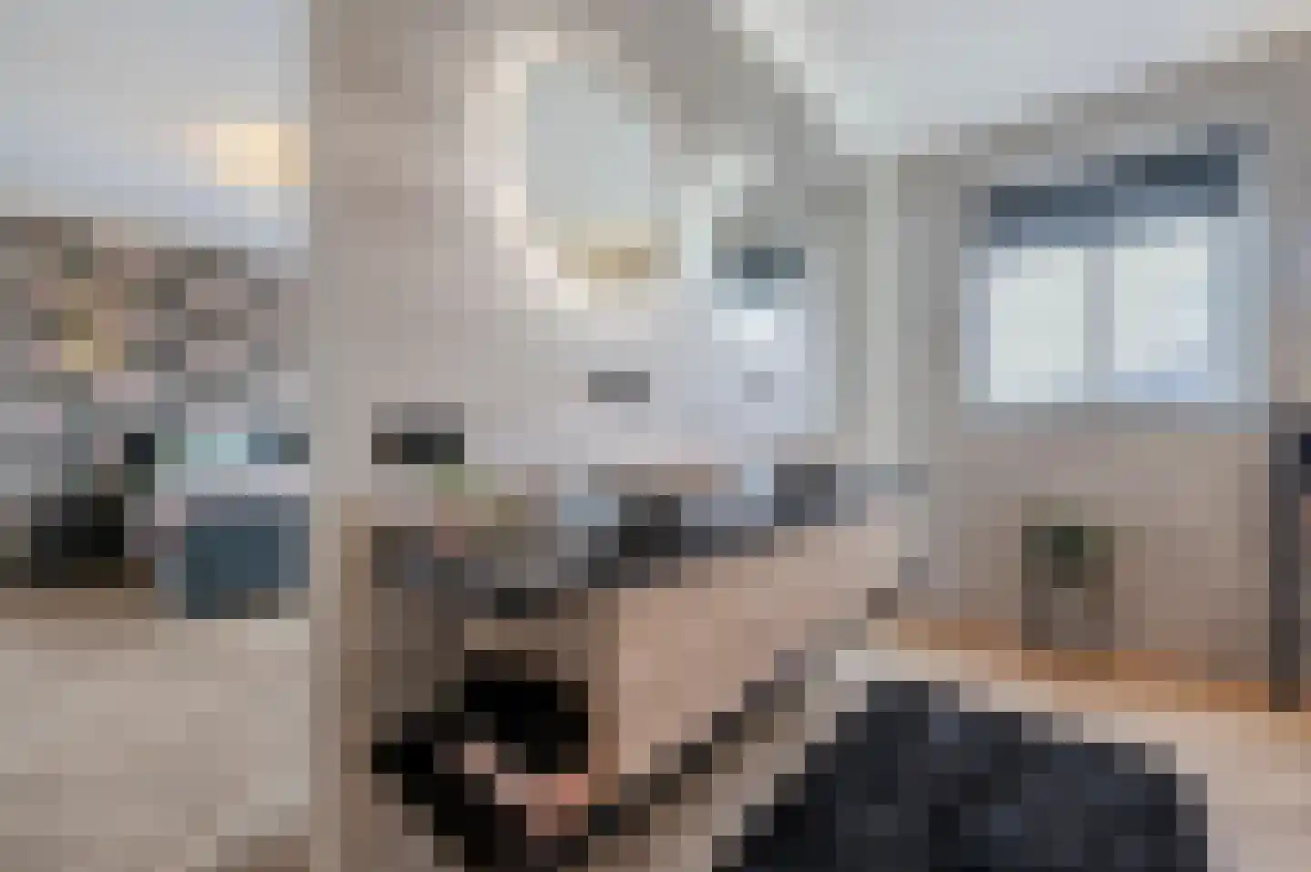 De Scheifelaar 538 Veghel thumbnail 41