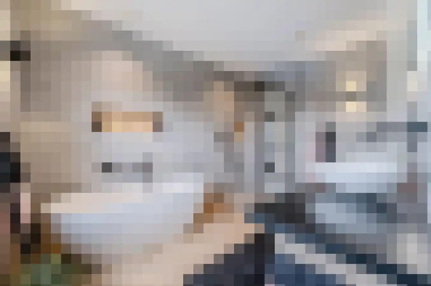 De Scheifelaar 538 Veghel thumbnail 42