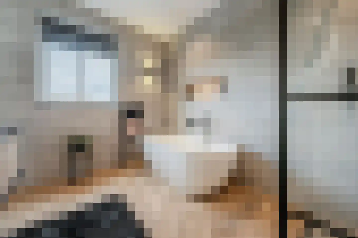 De Scheifelaar 538 Veghel thumbnail 43