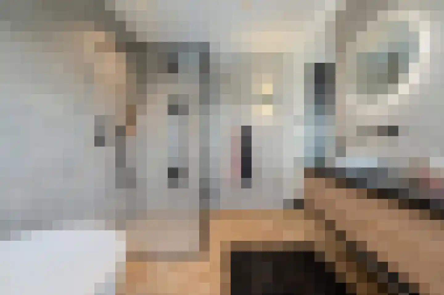 De Scheifelaar 538 Veghel thumbnail 44