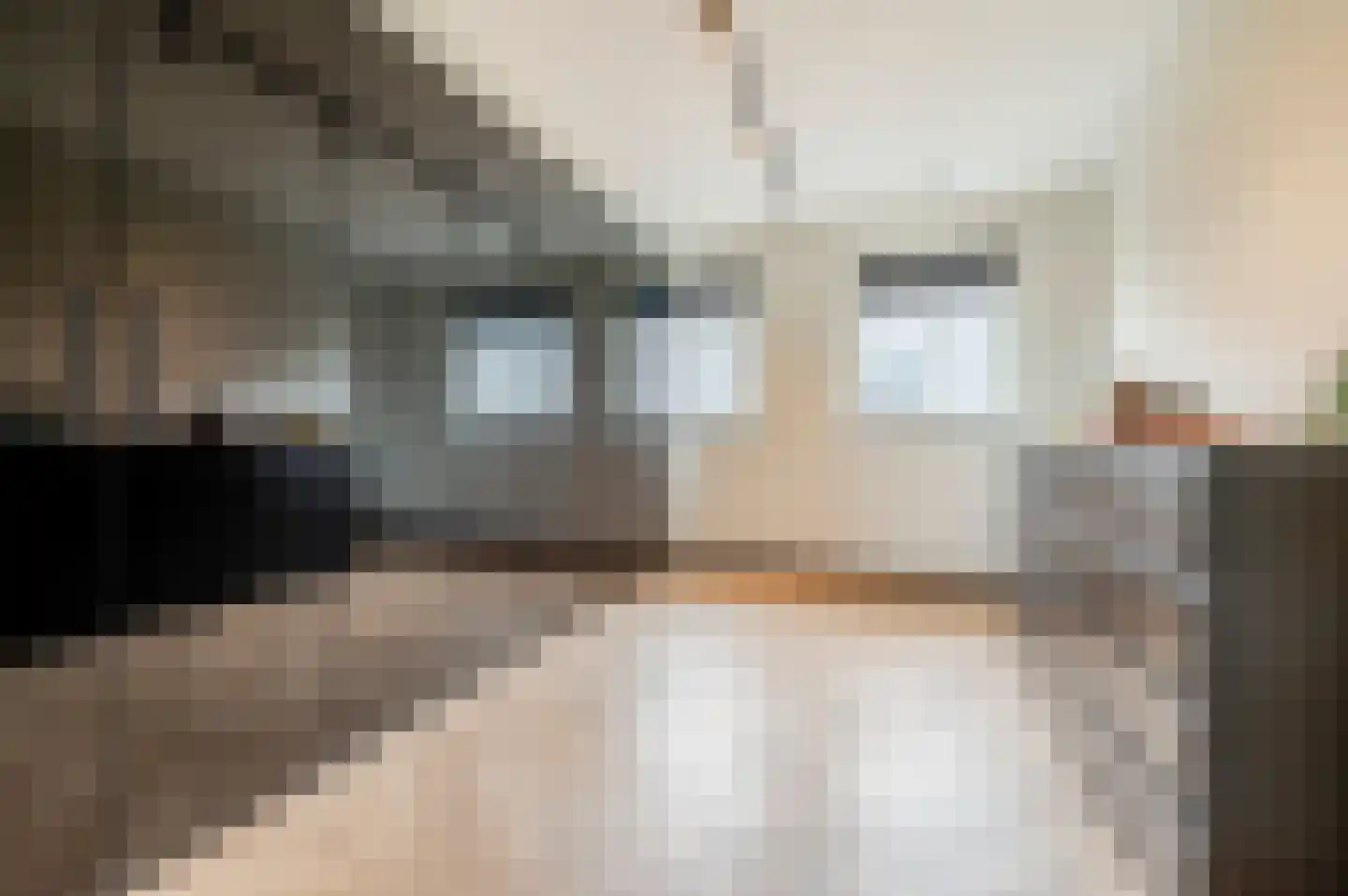 De Scheifelaar 538 Veghel thumbnail 45