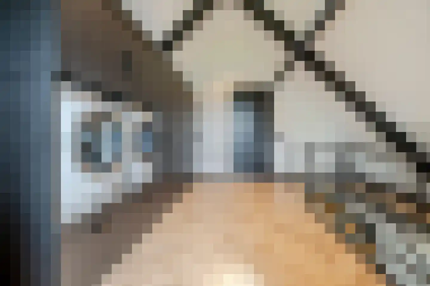 De Scheifelaar 538 Veghel thumbnail 51