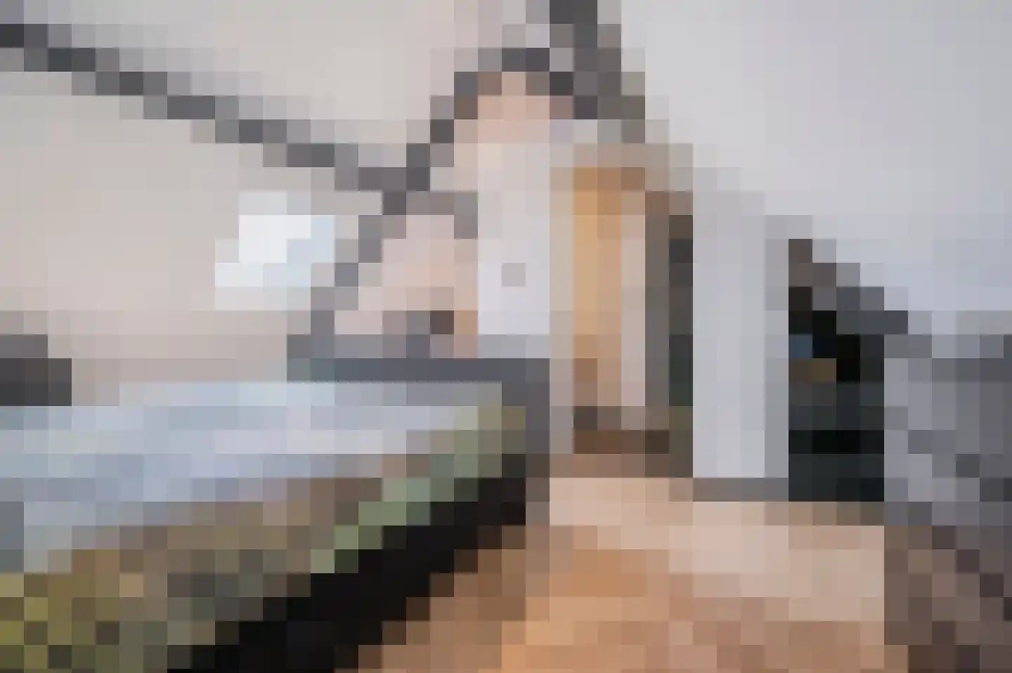 De Scheifelaar 538 Veghel thumbnail 53