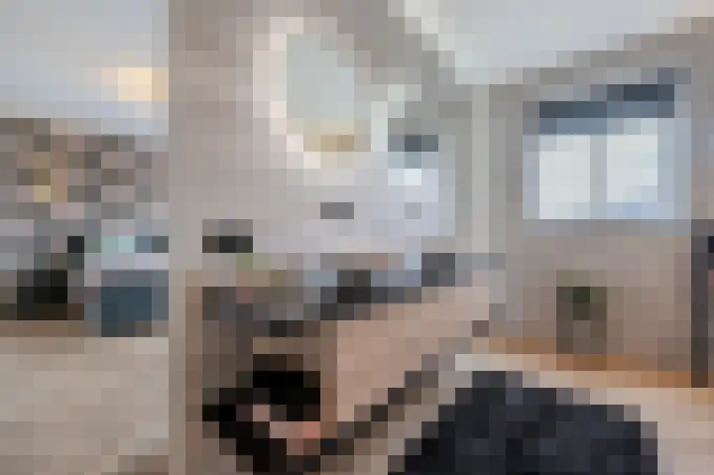 De Scheifelaar 538 Veghel thumbnail 6