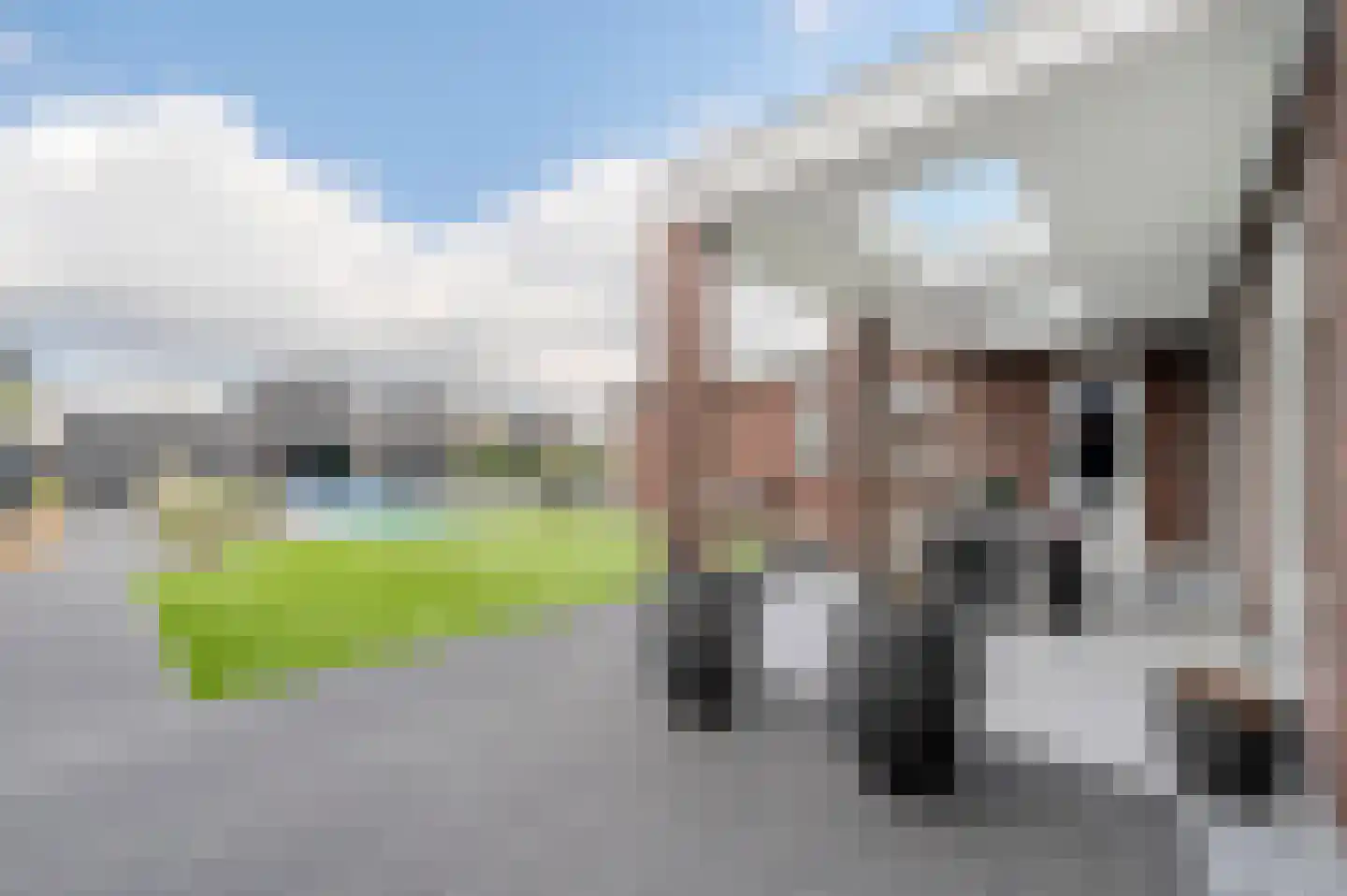 De Scheifelaar 538 Veghel thumbnail 61