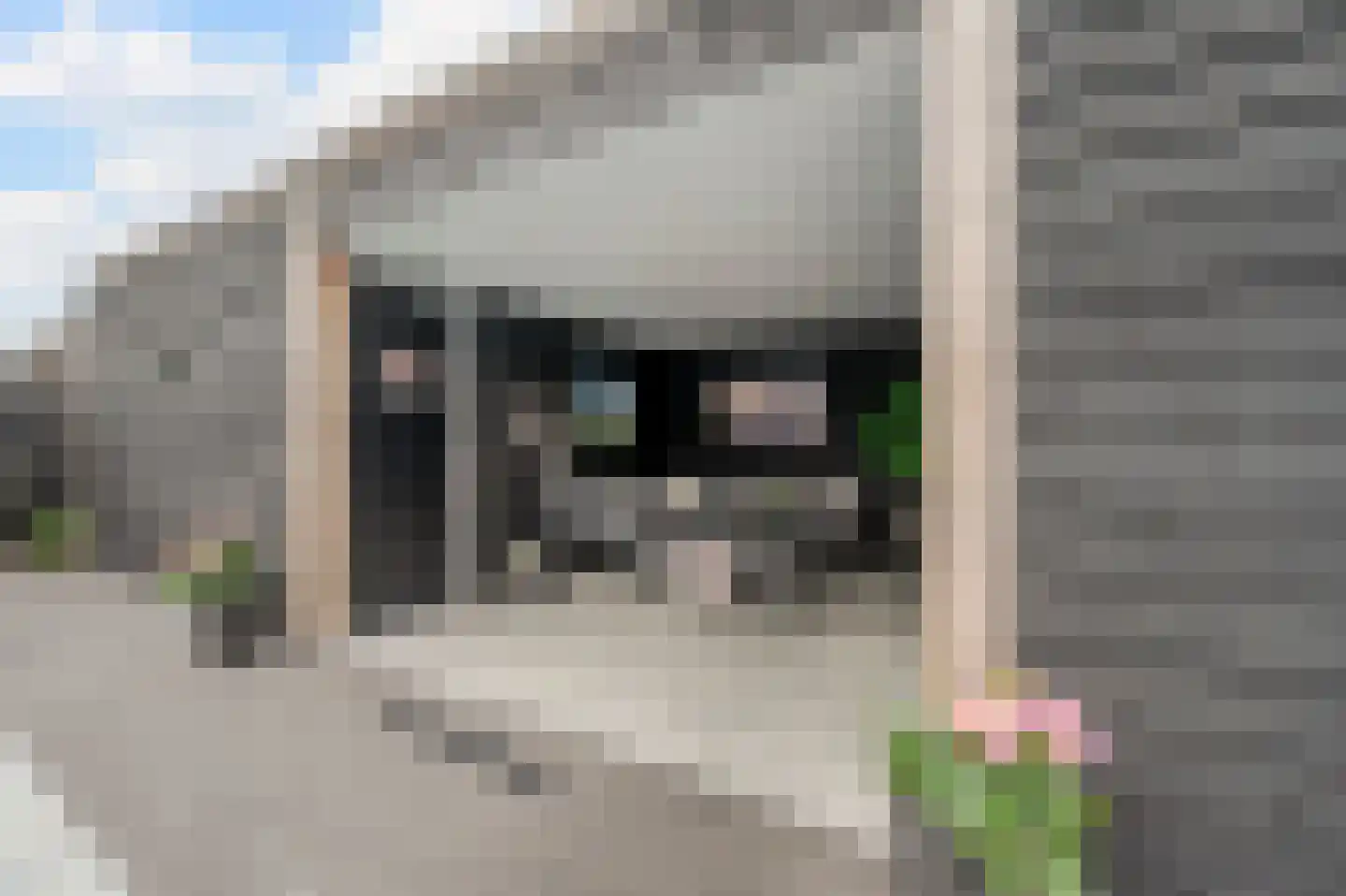 De Scheifelaar 538 Veghel thumbnail 68