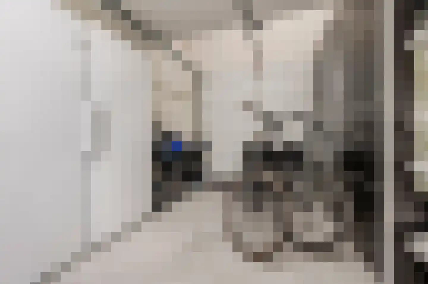 De Scheifelaar 538 Veghel thumbnail 70