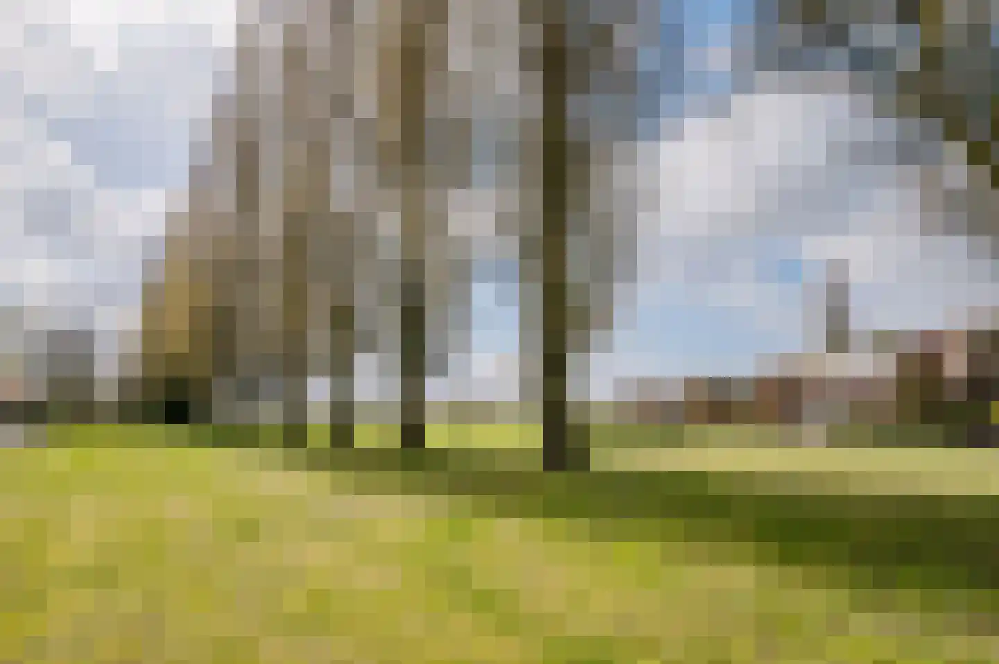 De Scheifelaar 538 Veghel thumbnail 77