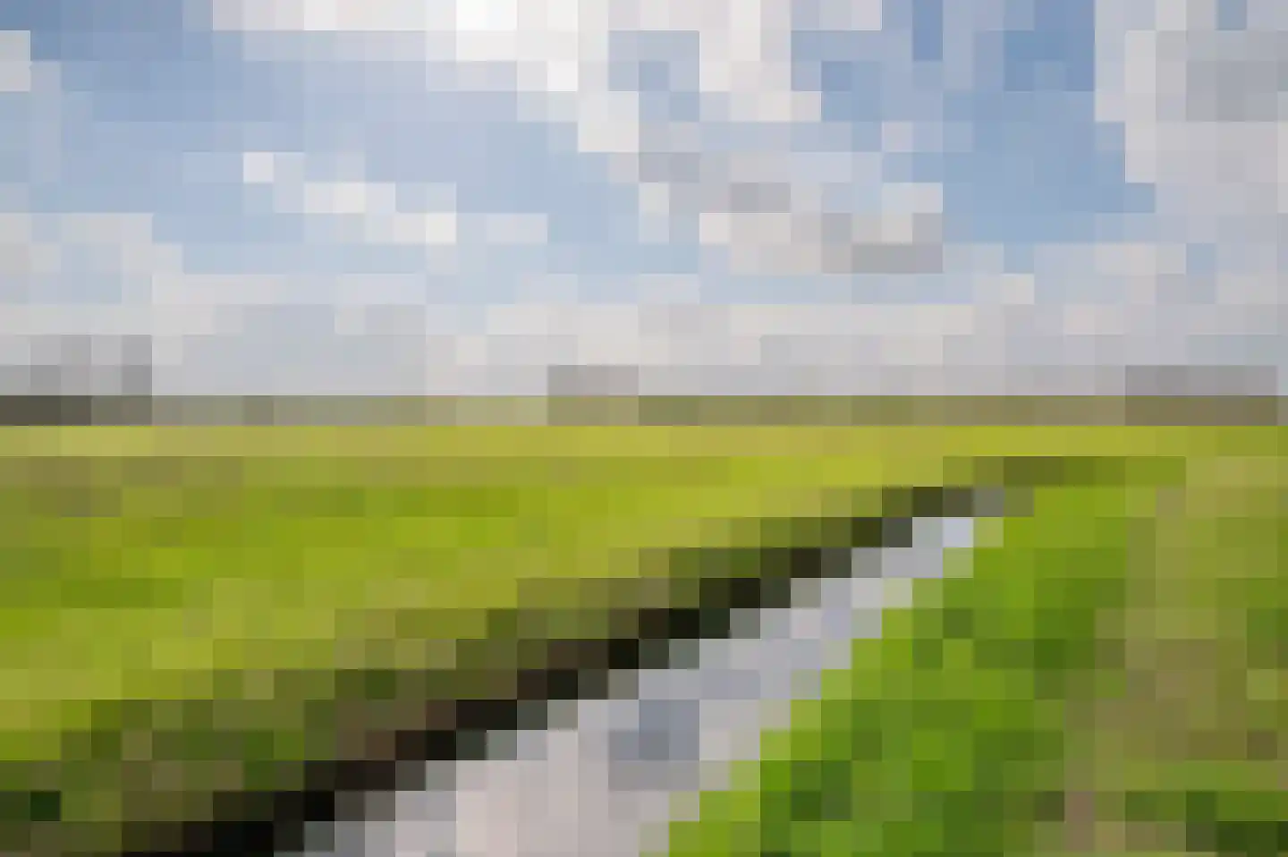 De Scheifelaar 538 Veghel thumbnail 78